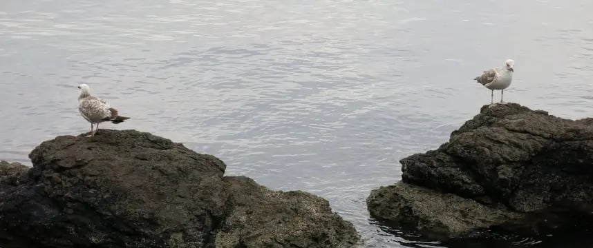 Aşk Acısı Nasıl Geçer?