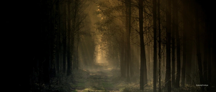 Anksiyete Belirtileri ve Tedavisi