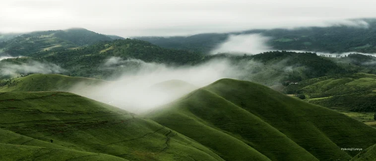 Apati (İlgisizlik) Nedir? Apati Belirtileri ve Tedavisi