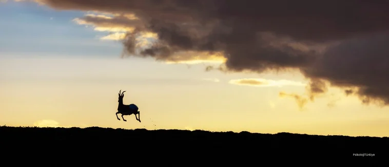 Bağlanma Korkusu (Gamofobi) Belirtileri Nelerdir?