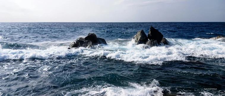 Bekar Kadınlarda Aşırı Cinsel İstek Sebepleri