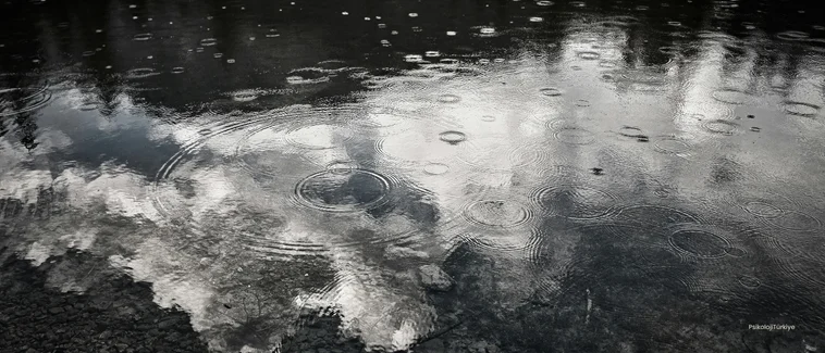 Bilişsel Çarpıtmalar