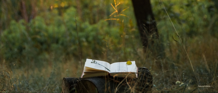 Okunması Gereken En İyi Psikoloji Kitapları (60 Öneri)
