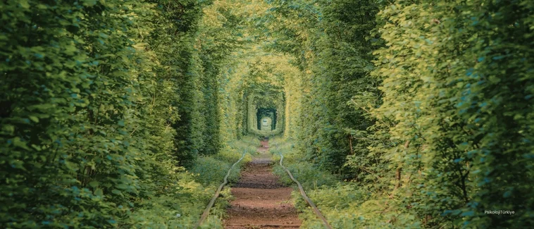 Gelecek Kaygısı Belirtileri ve Tedavisi