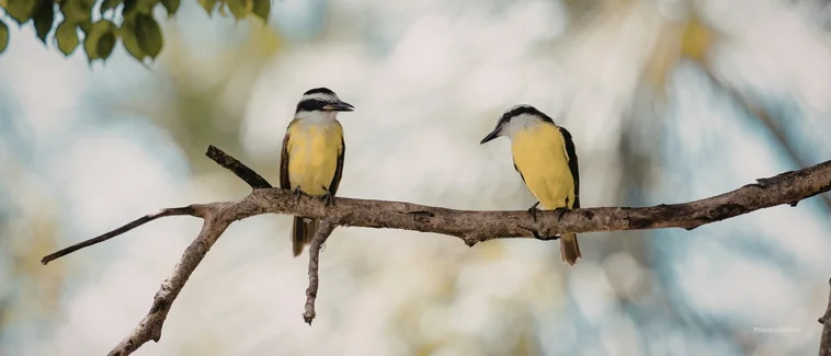 İlişki Anksiyetesi Belirtileri ve Tedavisi