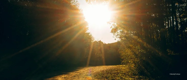 Klinik Psikolog İlaç Yazabilir mi?