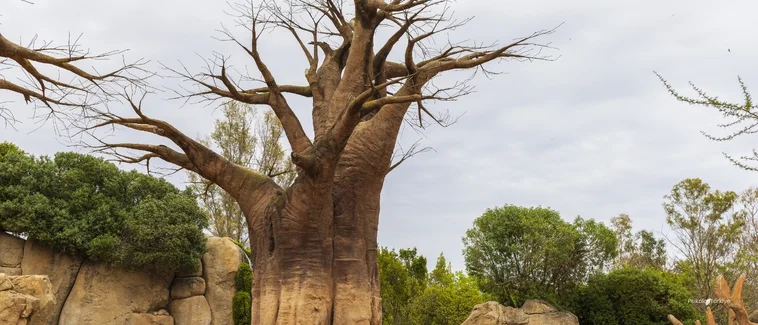 Majör Depresyon Belirtileri ve Tedavisi
