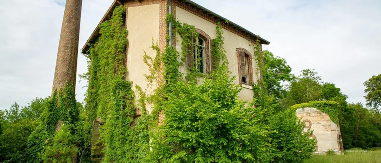 Manipülasyon Ne Demek? Manipülasyon Teknikleri Nelerdir?