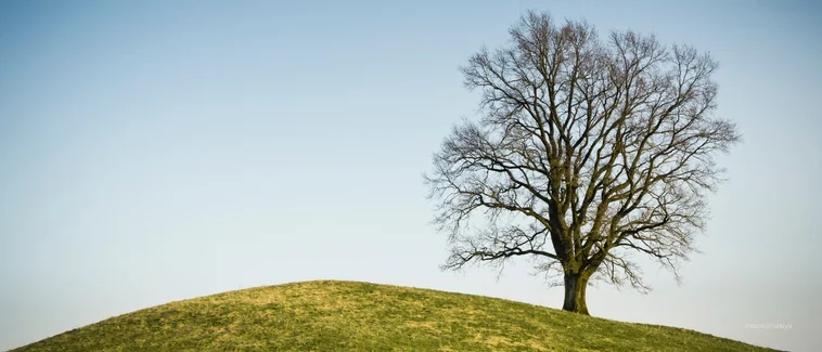 Melankolik Depresyon Nedir? Belirtileri ve Tedavisi