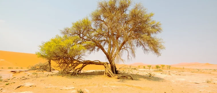 Menopozda Depresyon Belirtileri