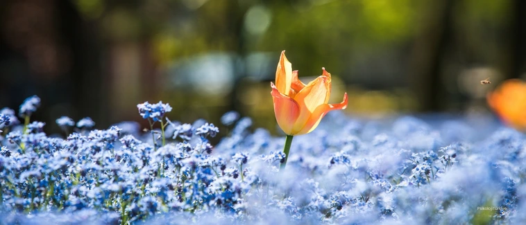Narsist Ne Demek? Narsist Kişilik Bozukluğu Belirtileri