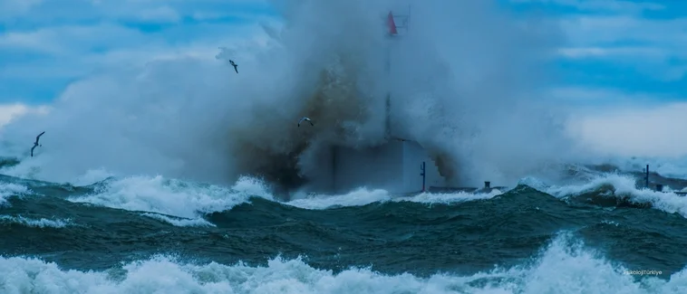 Öfke Kontrol Bozukluğu Belirtileri ve Tedavisi