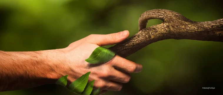 Psikolog Hangi Hastalıklara Bakar?