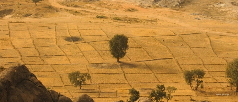 Psikolojik Hastalıklar Nelerdir?