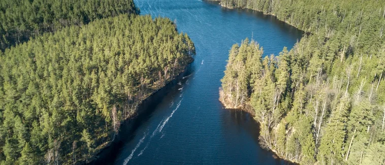 Psikolojik Yutkunma Zorluğu Belirtileri