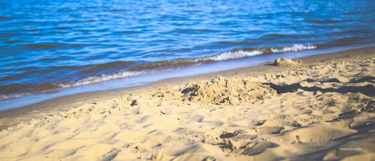 Savunma Mekanizmaları ve Örnekleri