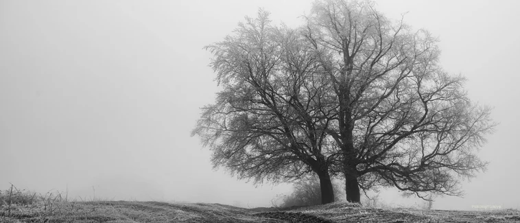 Şizotipal Kişilik Bozukluğu Belirtileri ve Tedavisi