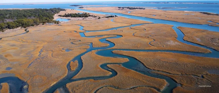 Soft Skills Nedir? Örneleri Nelerdir?