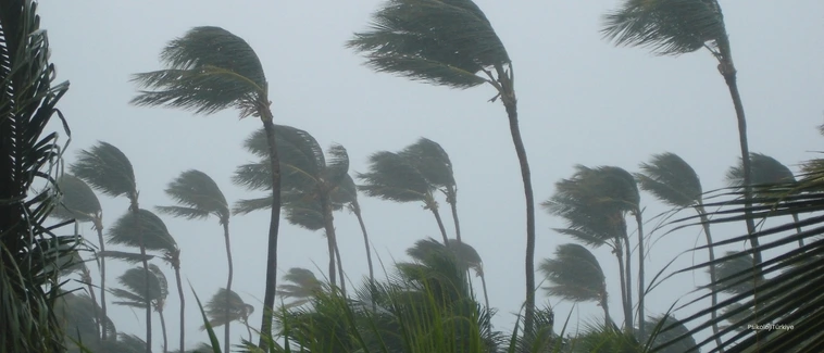 Stres Nedir? Stres Belirtileri, Nedenleri ve Tedavisi