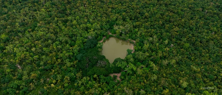 Toksik İlişki Ne Demek? Toksik İlişki Belirtileri