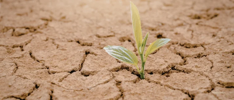 Yeme Bozukluğu Belirtileri ve Tedavisi